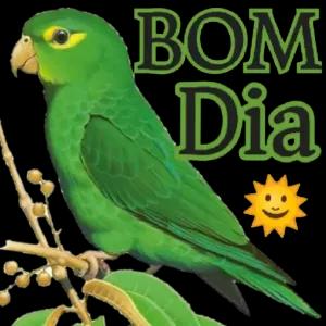 BOM Dia - getsticker.com