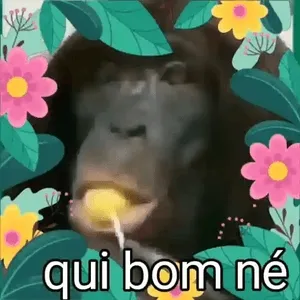 NIywJ2