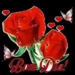 feliz dia🐻🌹