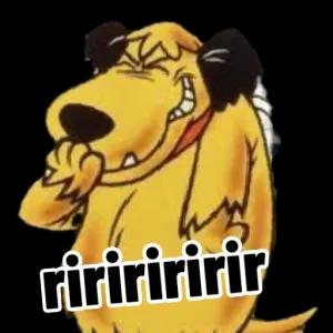 zJfwrC
