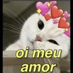 oi meu amor