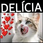 Gatos