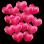 flowers, hope you like them!