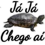vou