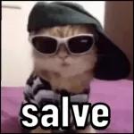 só animais 😂
