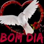  Bom Dia
Com Muitas
Bençãos
BJ Laila Elektra
