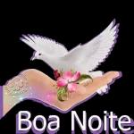 Boa Noite 
