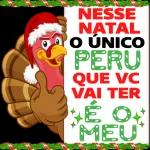 🦌Natal pacote🎄