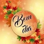 boom dia