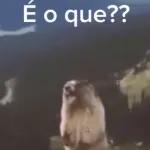 Não tenho nada
pra dizer

Só o silêncio
vai falar por mim