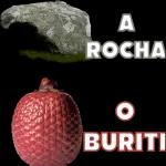 A ROCHA BURITI