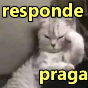 9PGLtr