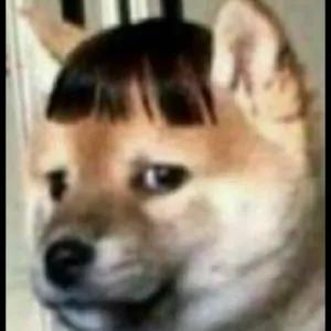 VcNUni