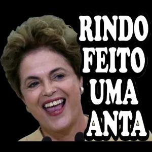 RINDO FEITO UMA ANTA - getsticker.com