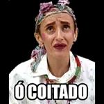 memes pra grupo