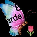 bora tomar café