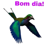 Parabéns 