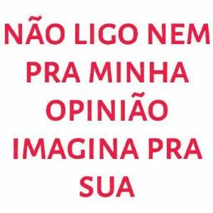 NÃO LIGO NEM PRA MINHA OPINIÃO IMAGINA PRA SUA - getsticker.com