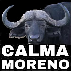 CALMA MORENO - getsticker.com