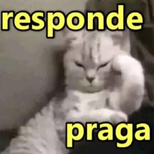 sCllJD