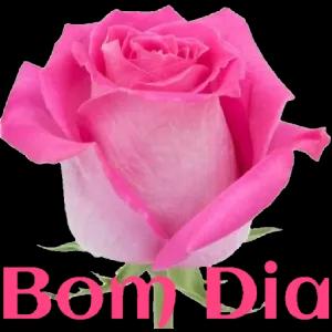 Bon Dia  - getsticker.com