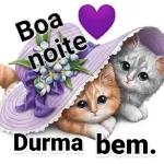 boa noite