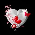 Shalom, Amigos e Nomes