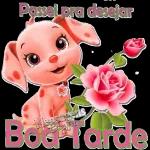 Boa tarde Boa Tarde Boa tarde 