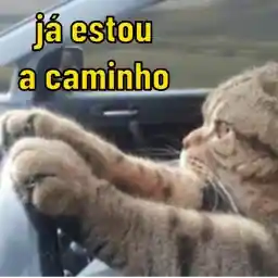 Eh9z48