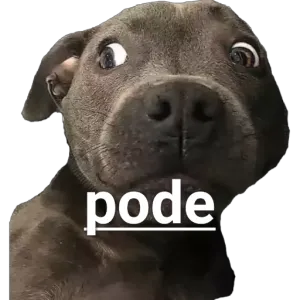 L9dy7W