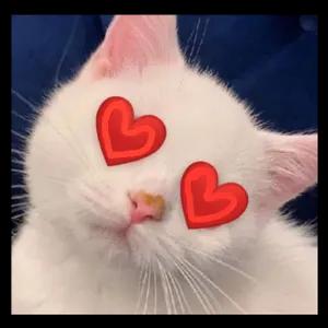 getsticker.com