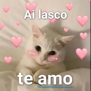 lwVYtN