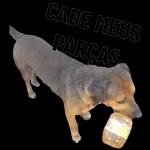 VOCÊ ESQUECEU
DE MIM