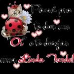 Boa noite. Boa tarde