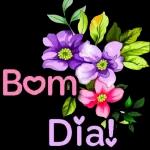 Bom dia flor
