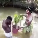 O que você ganha🤡