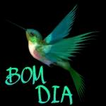 bom dia 