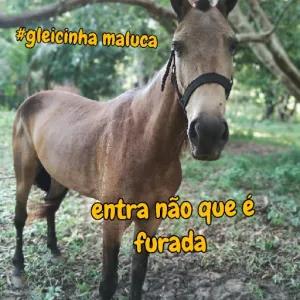 0onMxB