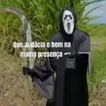 amostradim