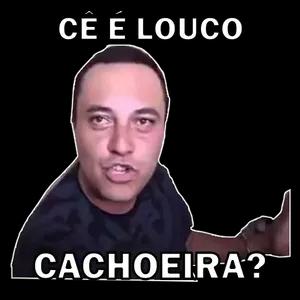 pG9Sp2
