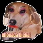 adesivos