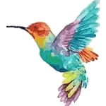 colibrí 