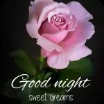 Good afternoon