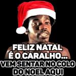 🦌Natal pacote🎄
