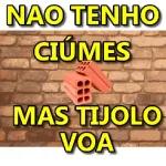 animes
