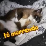 tô com fome