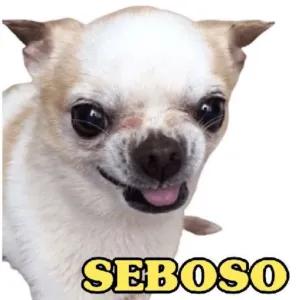y86MeU