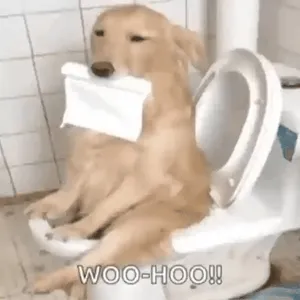 yBalwR