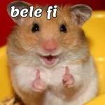 fevereiro