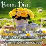 Boa noite🌸